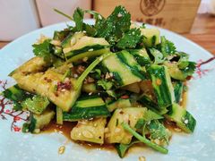 凉拌黄瓜-晋商羊家将(十八中店)