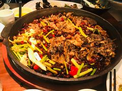 -老板恋上鱼(振华商厦店)