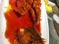 松鼠海鲈鱼-七菜馆·东北菜·蒸饺(文体路店)