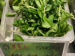 -琼菜王(南海店)