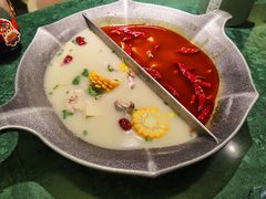 鸳鸯锅-麻田会 ·鲜活现烹·牛蛙火锅(珠江新城维家思广场店)