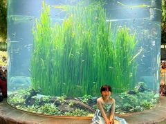 -海合安成都极地海洋公园