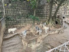 -杭州长乔极地海洋公园