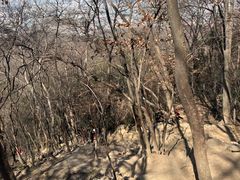 -紫金山山顶公园