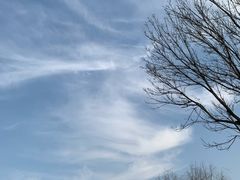 -绿野森林乐园冰雪季