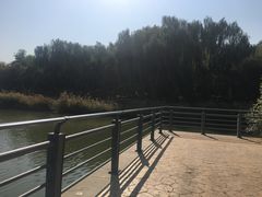 -大兴滨河森林公园