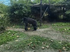 -成都动物园