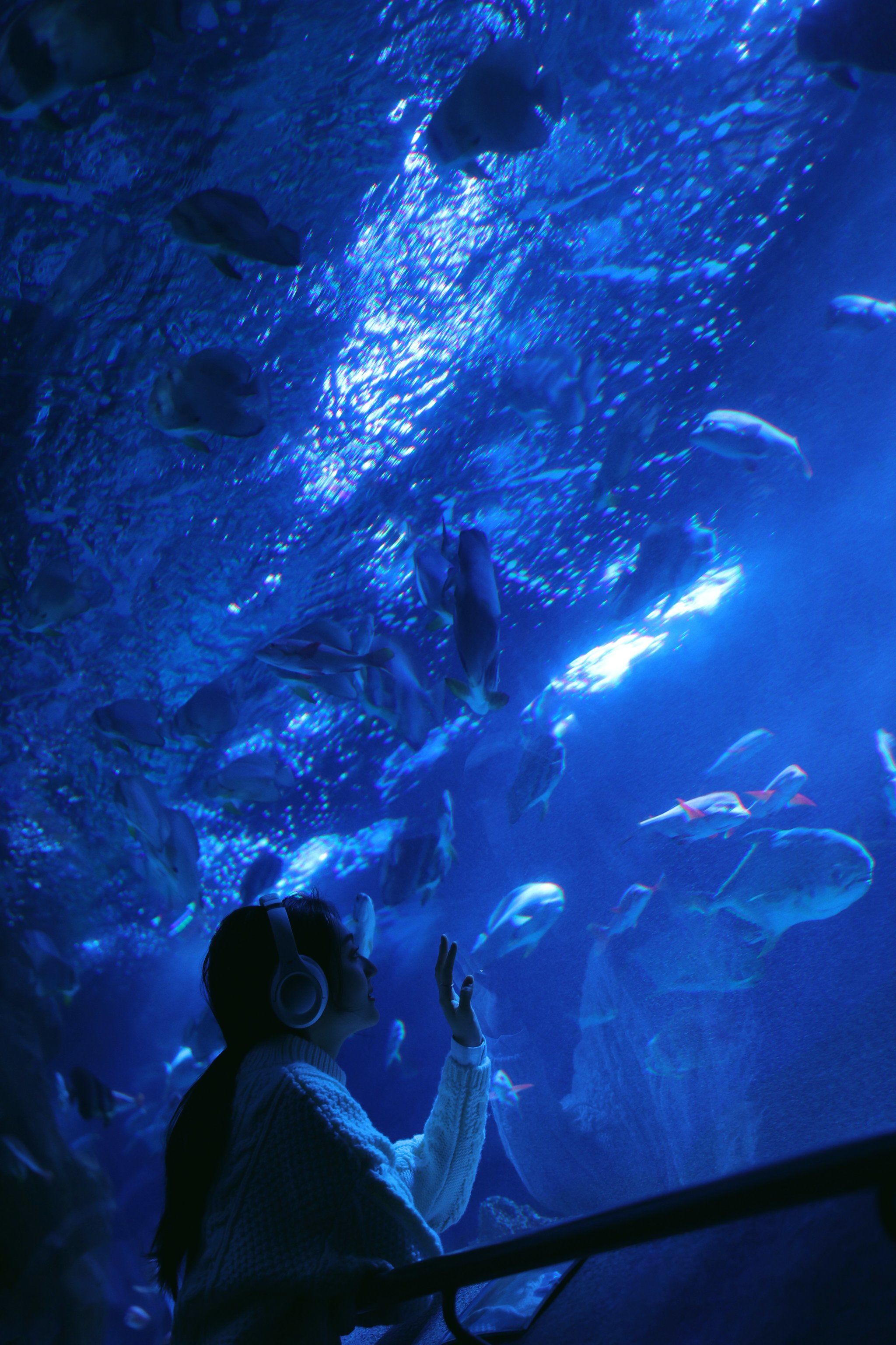 omg7515来大连旅游不拍海洋馆写真太吃亏啦07