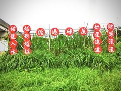 -新地休闲农场