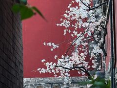 -潭柘寺景区