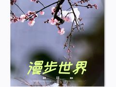 -溪岸路花鸟市场