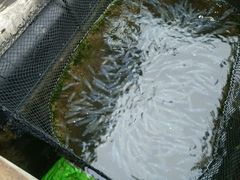 -海上驿站渔家菜馆