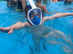 -美的鹭湖探索王国