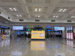 -河内内排国际机场