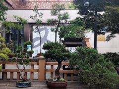 -陈家山荷花公园