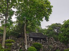 -金陵后厨·南京菜(新街口秣陵路店)