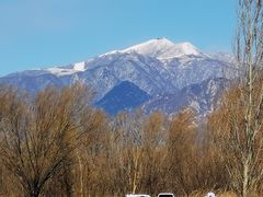 -野鸭湖国家湿地公园