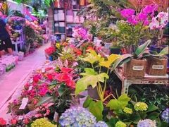 -花鸟鱼虫鲜花绿植市场(玉泉路店)