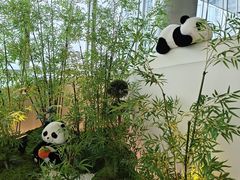 -南昌双子塔303观光厅
