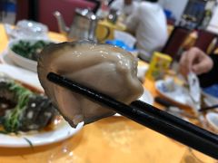 -蚝专家(北滘店)