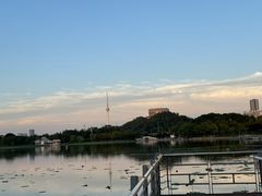 -月湖风景区