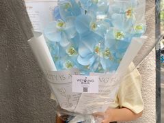 -花未央花店·WEYOUNG
