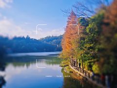 -深圳市中科院仙湖植物园