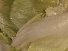 -芦月轩羊蝎子(太平桥店)
