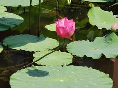 -天津东丽湖风景区