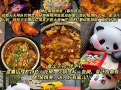 -成都大熊猫繁育研究基地