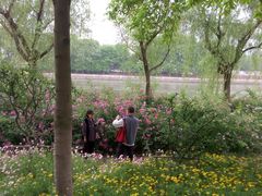 清炒手剥河虾仁-北门饭店(三香路店)