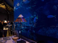 -迪拜帆船酒店海底餐厅