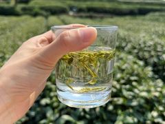 -龙坞茶村