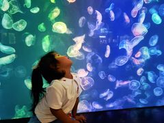 -烟台海昌鲸鲨海洋公园