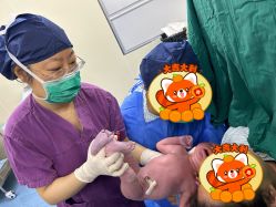 -复旦大学附属妇产科医院(杨浦院区)