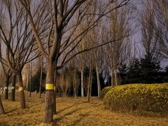 -北极寺公园