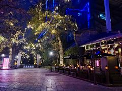 -成都世纪城假日酒店-西楼