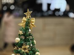 -胜博殿霸王树(嘉里中心店)