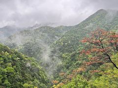 -千岛湖石林