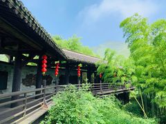 -大唐贡茶院