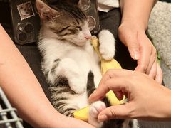 -瑞虹新天地月亮湾