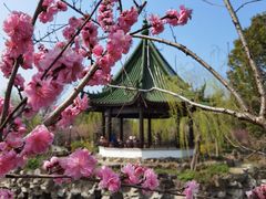 -无锡蠡湖国家湿地公园-蠡园