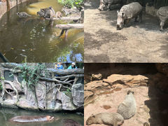 -长鹿旅游休博园