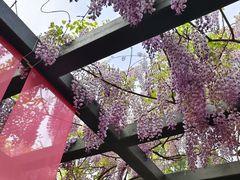 -北京市劳动人民文化宫(太庙)