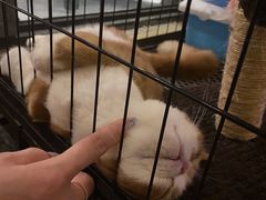 -臻鲜燕海鲜融合餐厅(金陵style店)