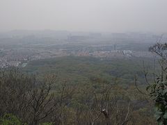 -紫金山山顶公园
