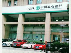 -中国农业银行(上海定西路支行)