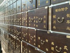 -北京同仁堂(西大街店)