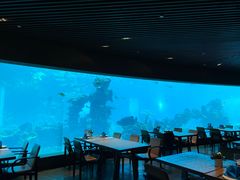 -海棠湾洲际-涛·海底餐厅·美人鱼·自助餐·海底隧道
