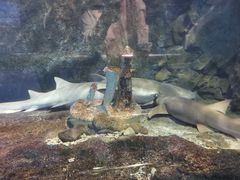 -太平洋海底世界